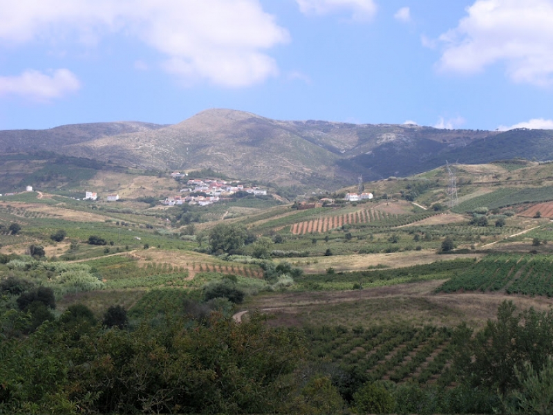 Cadaval - Paisagem Rural