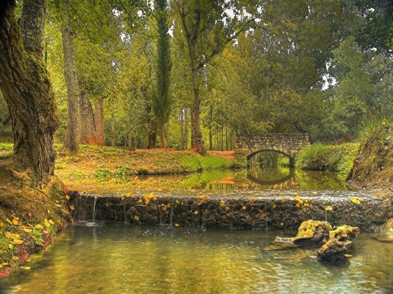 Entroncamento - Parque do Bonito