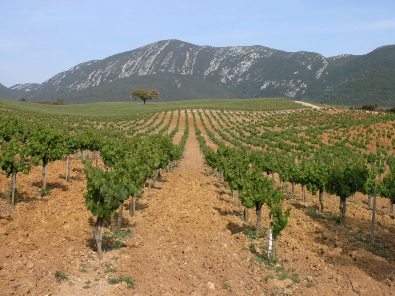 Setúbal - Serra da Arrábida