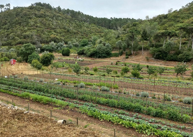 Relatorio Enquadrador FoodLink